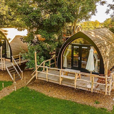 Boomhuis Met Optioneel Wellness - Vakantiepark De Schreiershoek Dokkum Exterior foto