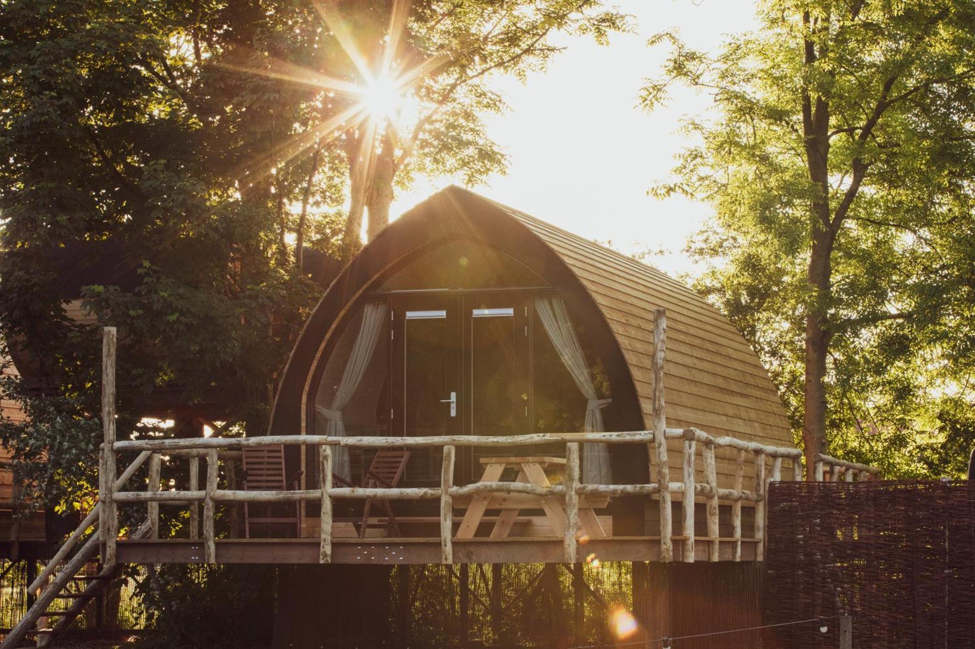 Boomhuis Met Optioneel Wellness - Vakantiepark De Schreiershoek Dokkum Exterior foto