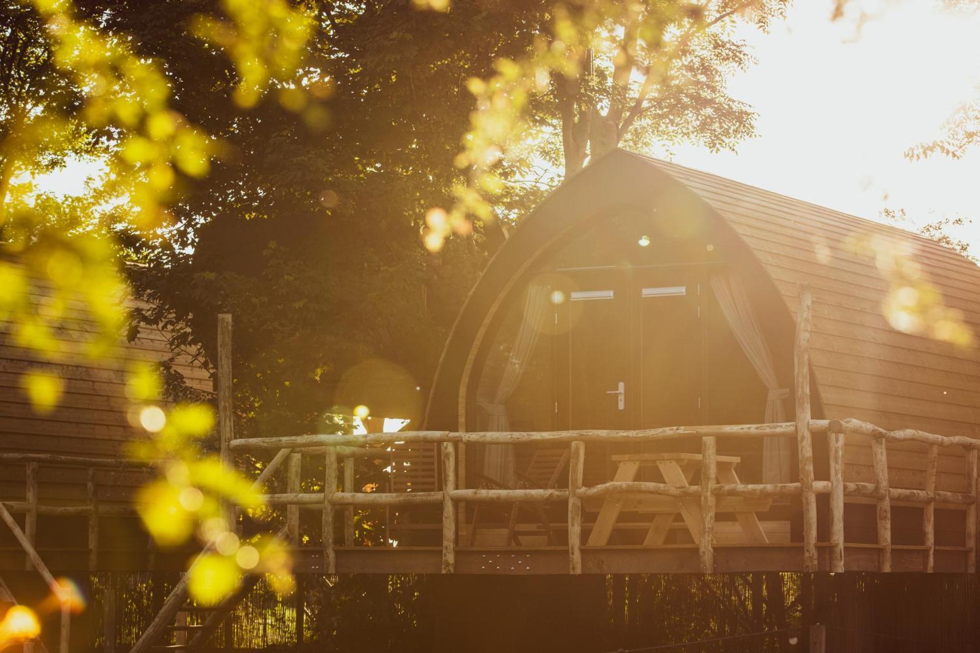 Boomhuis Met Optioneel Wellness - Vakantiepark De Schreiershoek Dokkum Exterior foto
