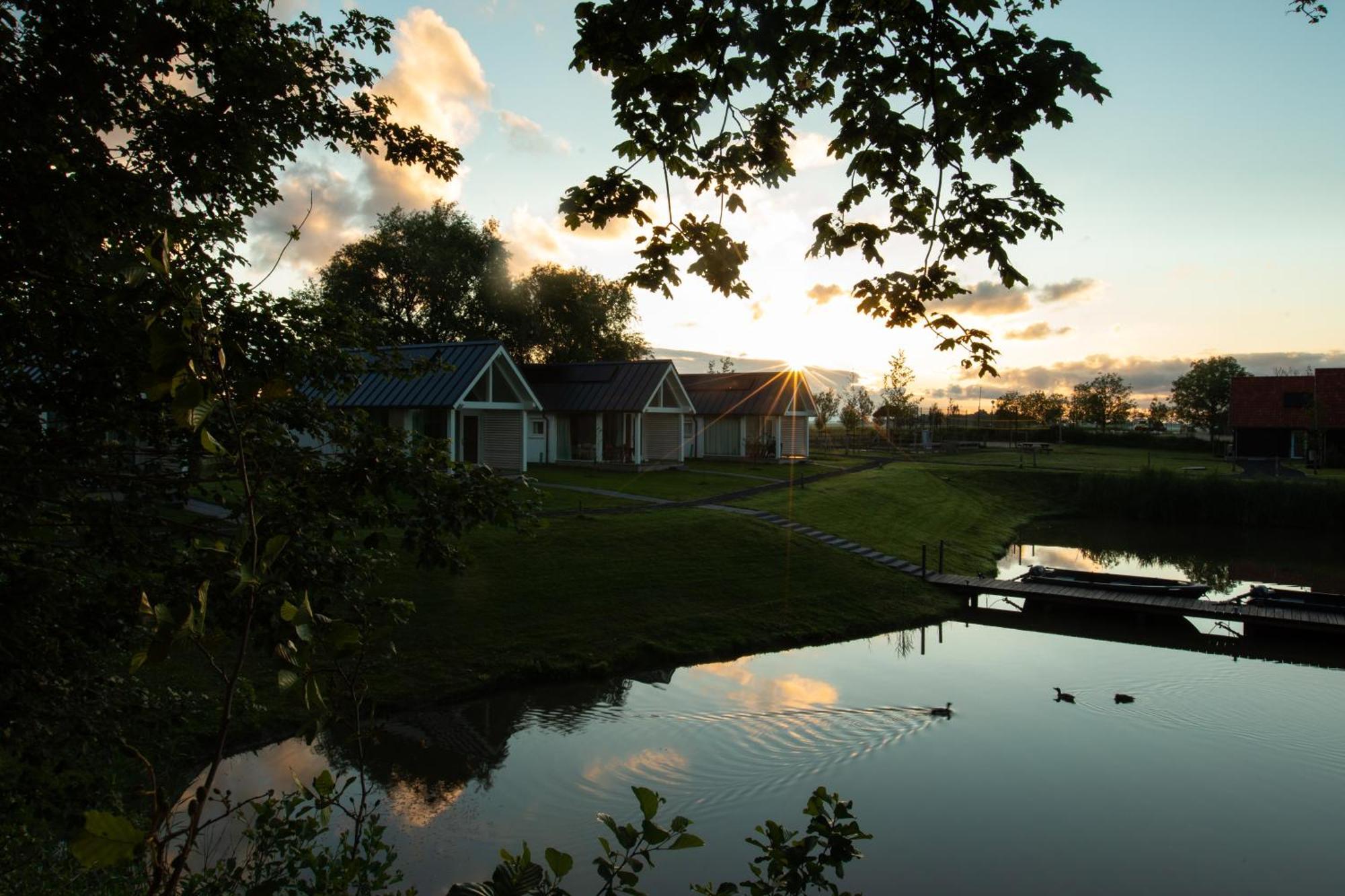 Boomhuis Met Optioneel Wellness - Vakantiepark De Schreiershoek Dokkum Exterior foto
